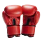 Boxing icon